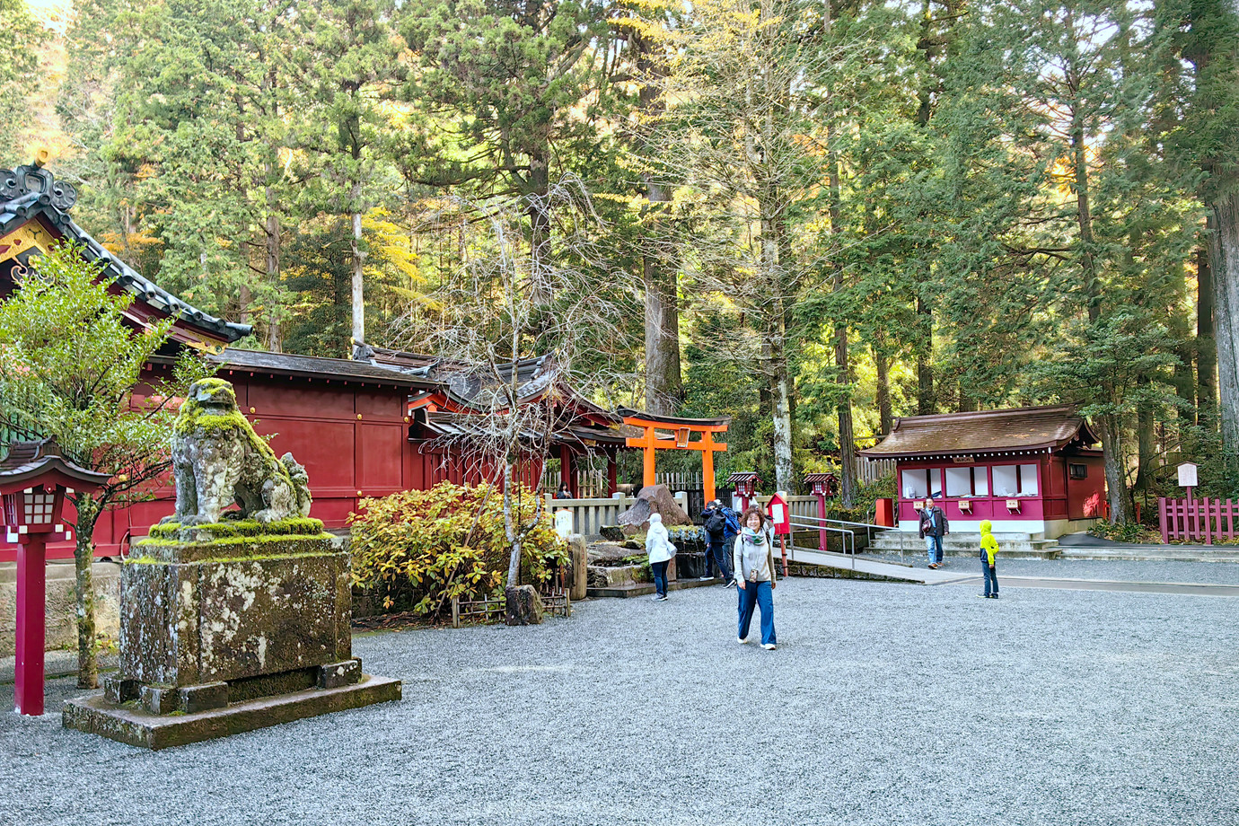 神奈川-箱根神社